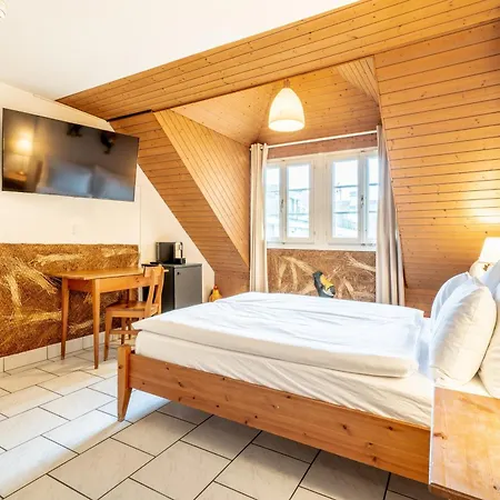 Altstadt Magic 3*